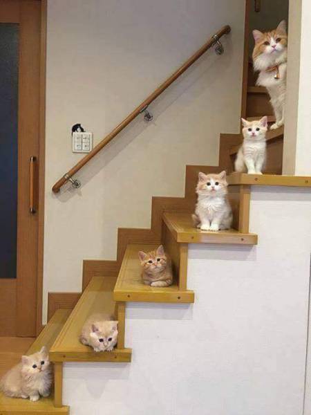 morning picdump 55 pics 22.html - 55 HD Photos | Premium Gallery 2017