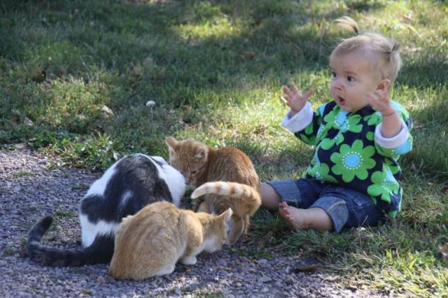 Daily Picdump