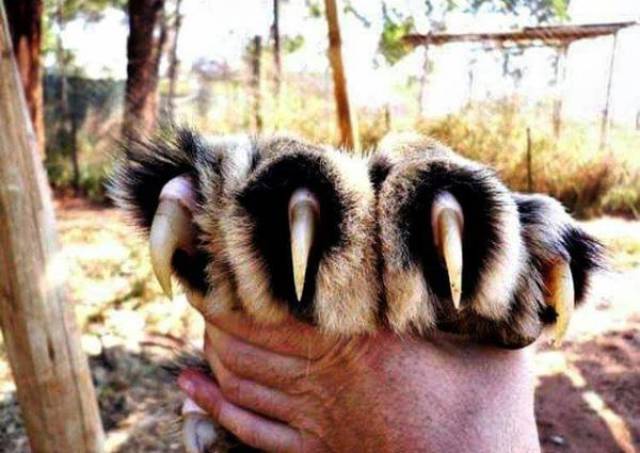 Daily Picdump