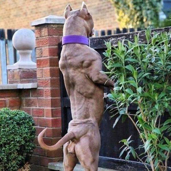 daily picdump 97 pics 36.html - 97 HD Photos | Premium Gallery 2017
