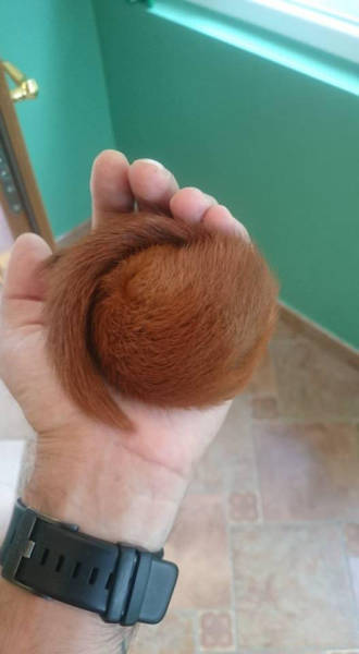 Morning Picdump