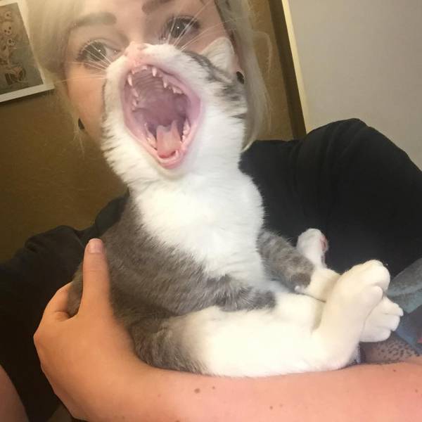 Morning Picdump