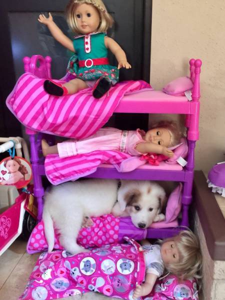 Morning Picdump