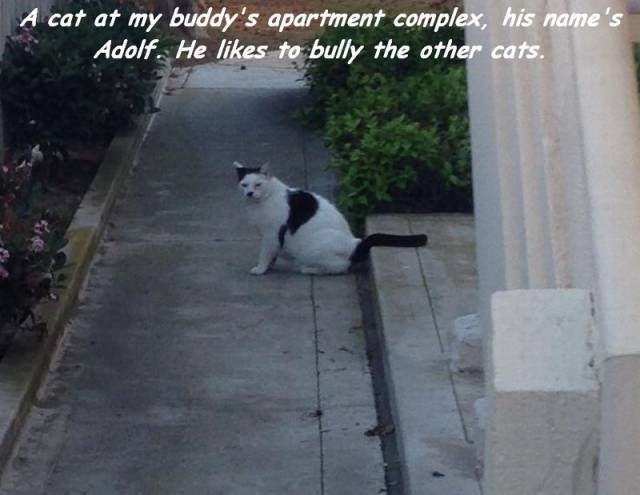 Daily Picdump