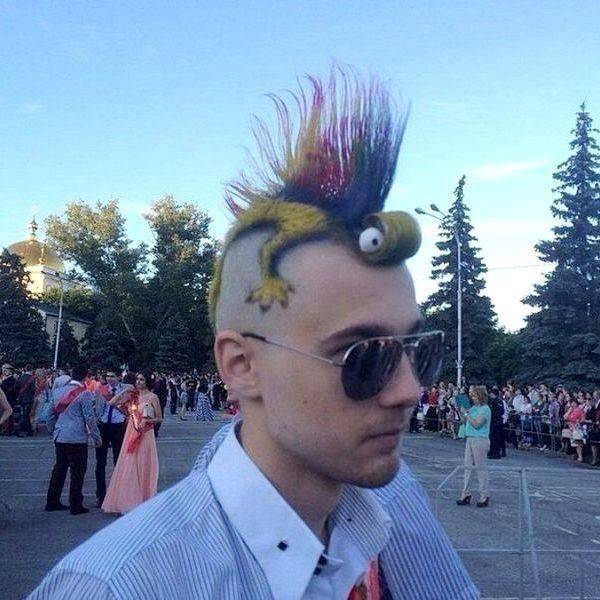 Daily Picdump
