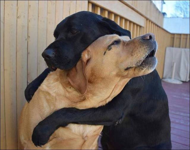 Daily Picdump