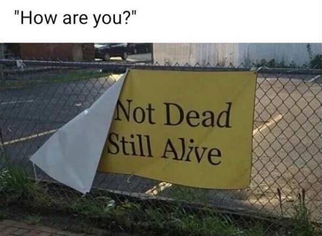 Daily Picdump