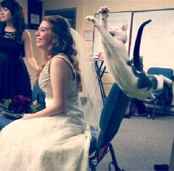 Daily Picdump