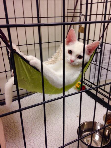 Morning Picdump