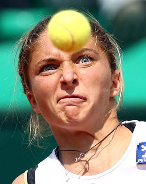 Morning Picdump