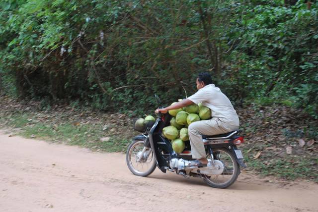 morning picdump 53 pics 21.html - 53 HD Photos | Premium Gallery 2017