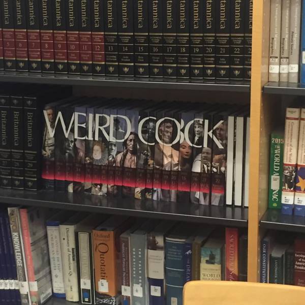 morning picdump 53 pics 21.html - 53 HD Photos | Premium Gallery 2017