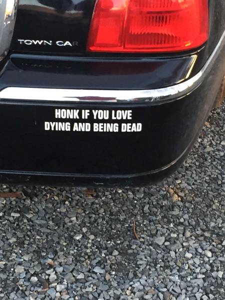 morning picdump 53 pics 21.html - 53 HD Photos | Premium Gallery 2017