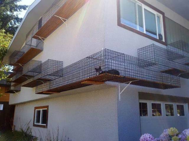 morning picdump 53 pics 21.html - 53 HD Photos | Premium Gallery 2017