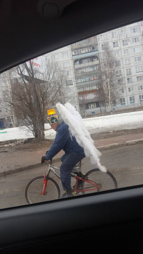 Morning Picdump