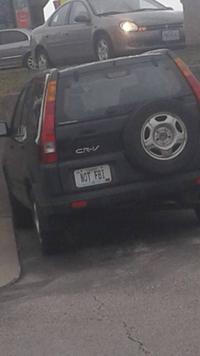 Morning Picdump