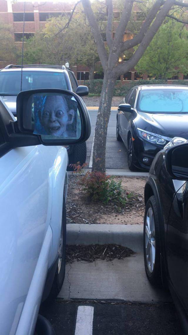 morning picdump 53 pics 21.html - 53 HD Photos | Premium Gallery 2017