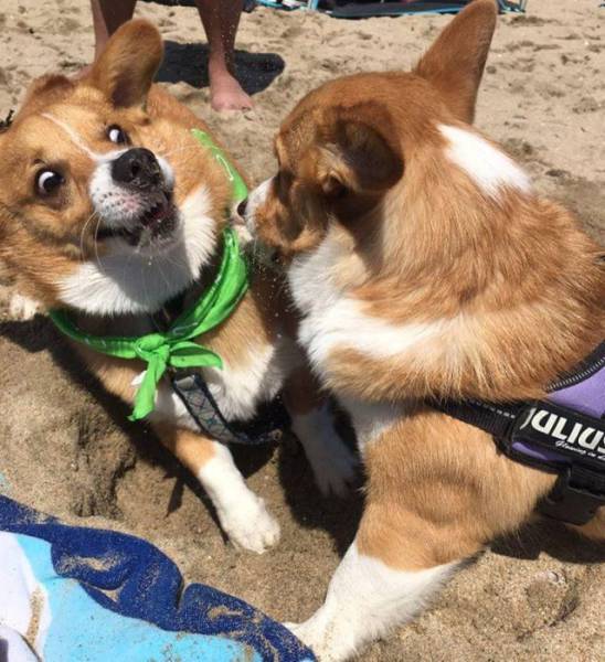 Daily Picdump