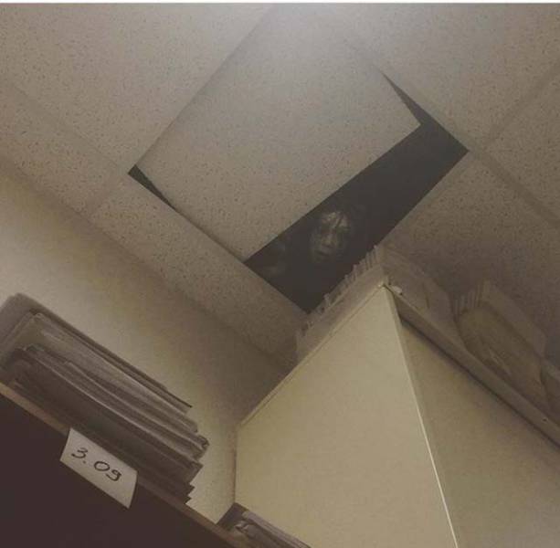 Morning Picdump