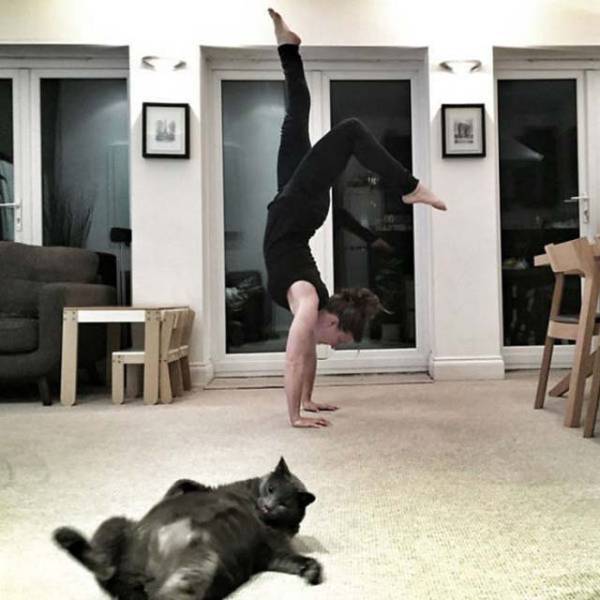 Morning Picdump