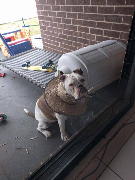 morning picdump 51 pics 16.html - 51 HD Photos | Premium Gallery 2017