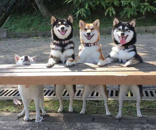 Daily Picdump