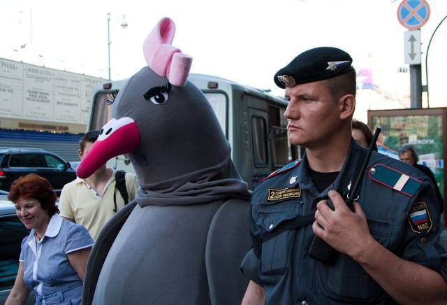 Daily Picdump