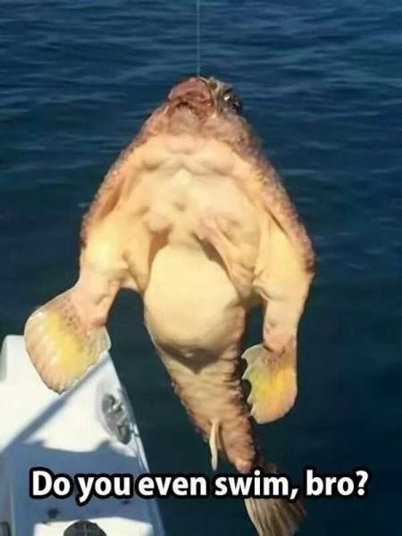 Daily Picdump