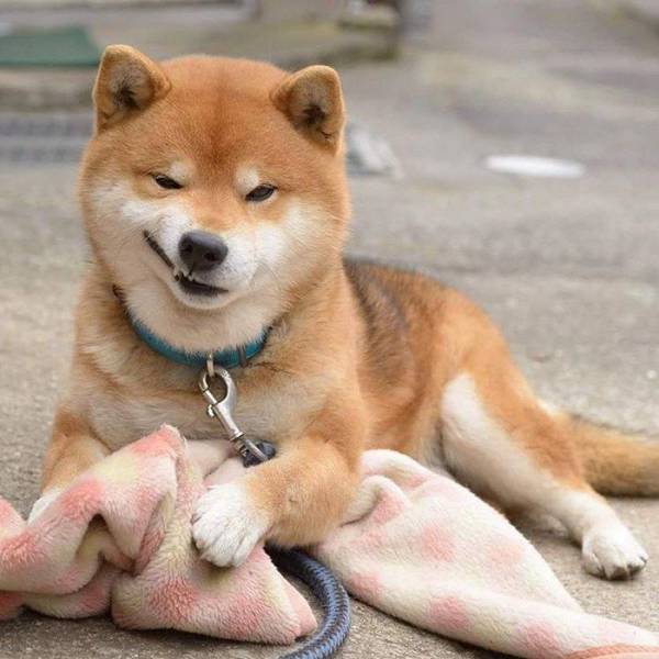 daily picdump 92 pics 16.html - 92 HD Photos | Premium Gallery 2017
