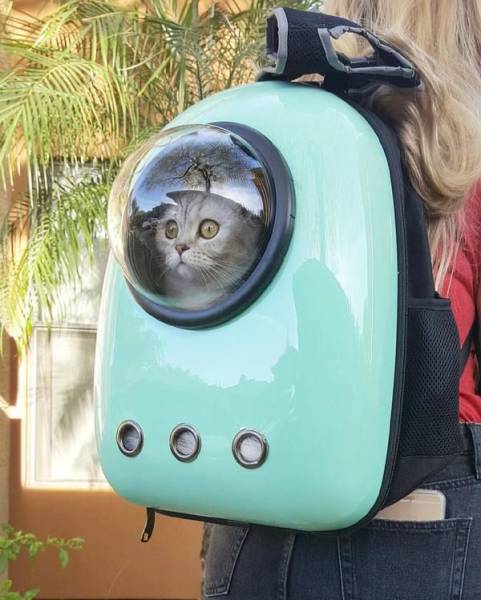 daily picdump 92 pics 16.html - 92 HD Photos | Premium Gallery 2017