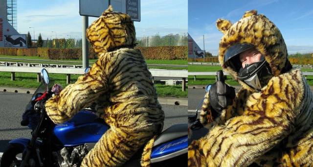 daily picdump 92 pics 16.html - 92 HD Photos | Premium Gallery 2017