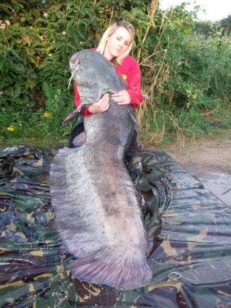 daily picdump 92 pics 16.html - 92 HD Photos | Premium Gallery 2017