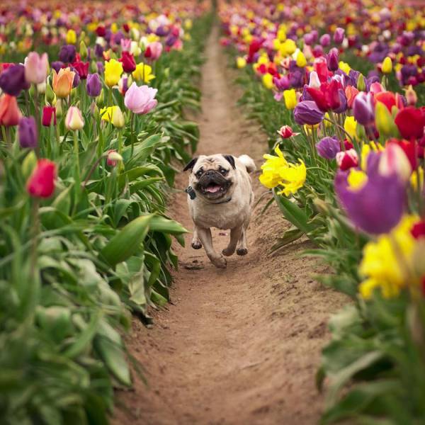 daily picdump 92 pics 16.html - 92 HD Photos | Premium Gallery 2017