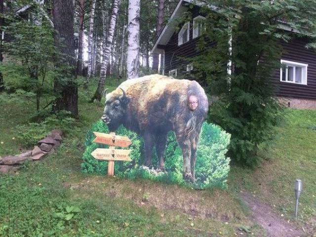 daily picdump 92 pics 16.html - 92 HD Photos | Premium Gallery 2017