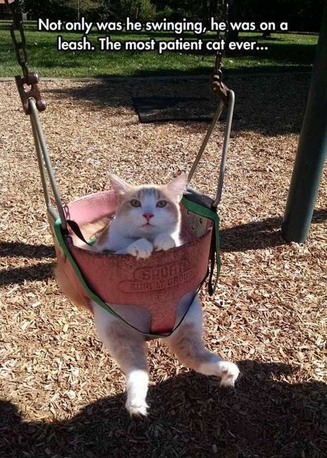 daily picdump 92 pics 16.html - 92 HD Photos | Premium Gallery 2017