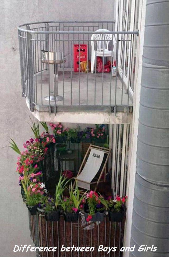 daily picdump 92 pics 16.html - 92 HD Photos | Premium Gallery 2017