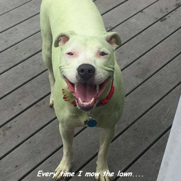 Daily Picdump