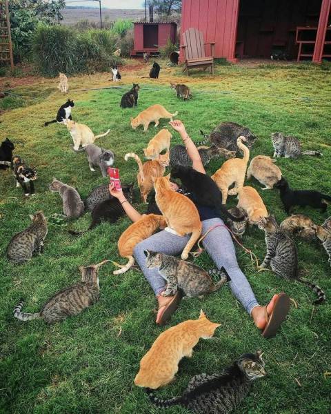 daily picdump 98 pics 2.html - 98 HD Photos | Premium Gallery 2017