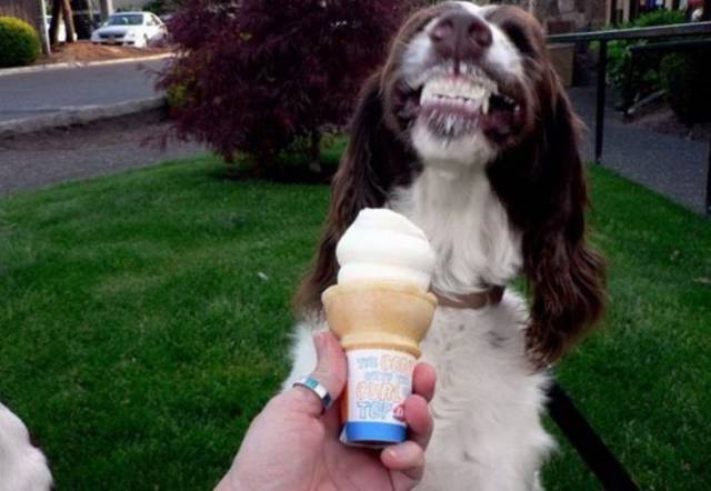 daily picdump 98 pics 2.html - 98 HD Photos | Premium Gallery 2017