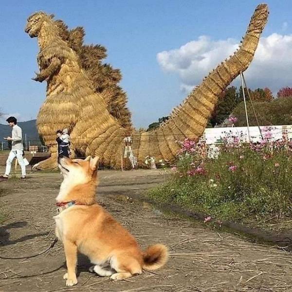 daily picdump 98 pics 2.html - 98 HD Photos | Premium Gallery 2017