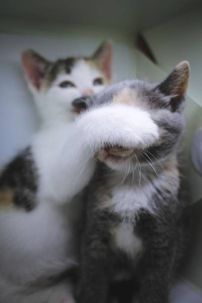 daily picdump 98 pics 2.html - 98 HD Photos | Premium Gallery 2017
