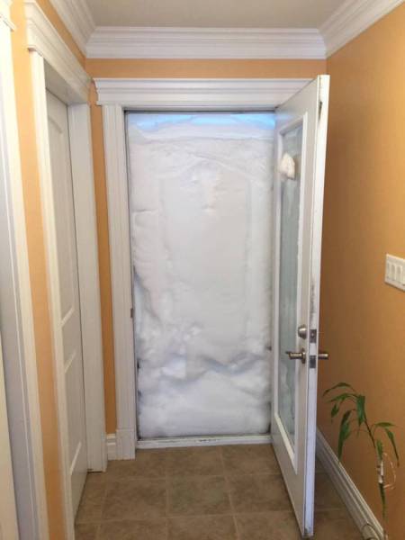 daily picdump 98 pics 2.html - 98 HD Photos | Premium Gallery 2017