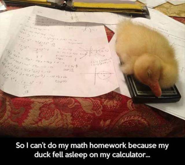 daily picdump 98 pics 2.html - 98 HD Photos | Premium Gallery 2017