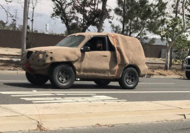 daily picdump 98 pics 2.html - 98 HD Photos | Premium Gallery 2017