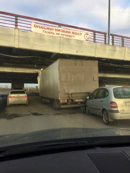 Morning Picdump