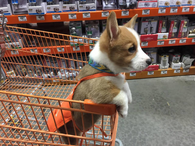 morning picdump 52 pics 2.html - 52 HD Photos | Premium Gallery 2017