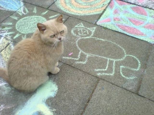 morning picdump 52 pics 2.html - 52 HD Photos | Premium Gallery 2017