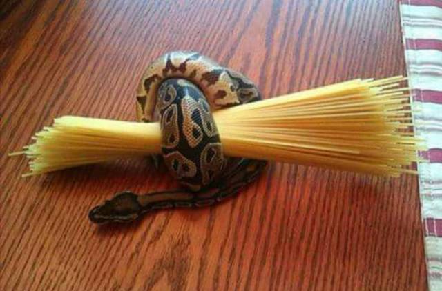 daily picdump weekend edition 73 pics 32.html - 73 HD Photos | Premium Gallery 2017