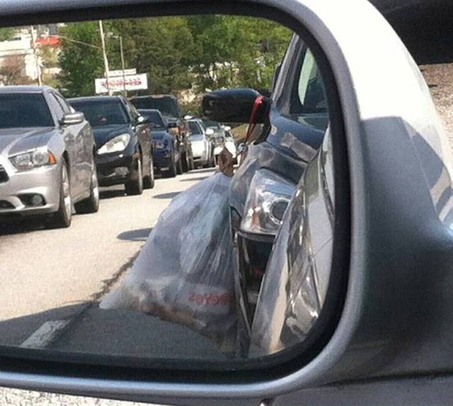 daily picdump weekend edition 73 pics 32.html - 73 HD Photos | Premium Gallery 2017