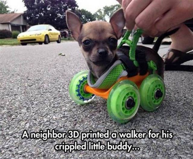 Daily Picdump